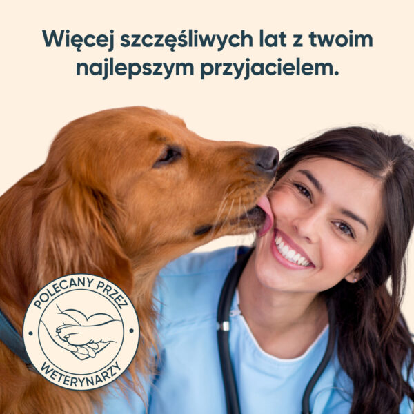 Polecany przez weterynarzy