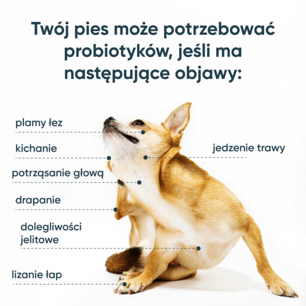 Probiotyki SciPet dla psów - 60 dawek - obrazek 2